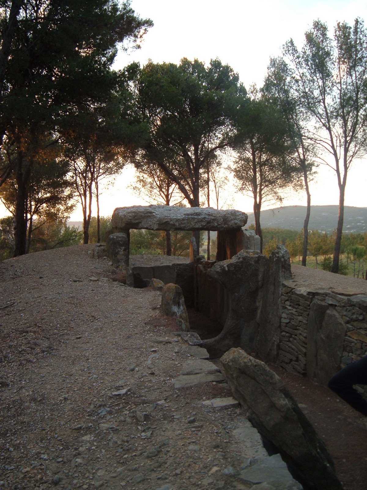 [DSCF0920.JPG]