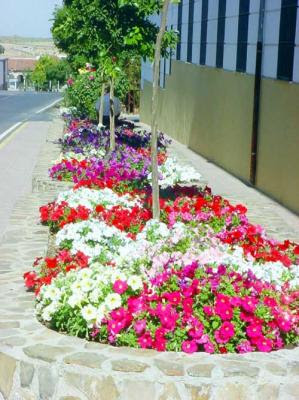 NATURALEZA VERDE DEL LEGOLAS: JARDINES