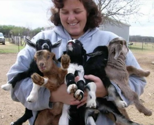 [armload of goats.jpg]