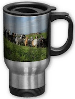 NGIP merch - travel mug