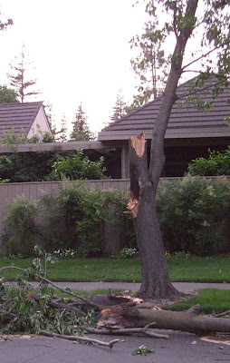 Wanna see a bigger picture? Then for the love of God, click here!