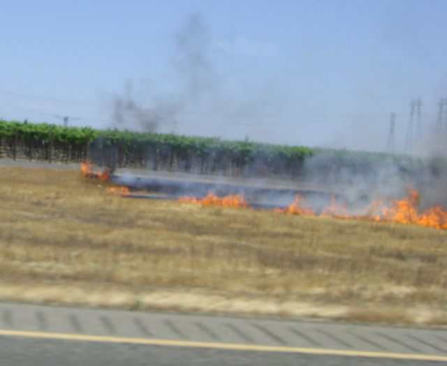 [LA+road+fire2.jpg]