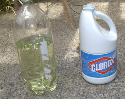 bottle of bleach and bottle of water with bleach added
