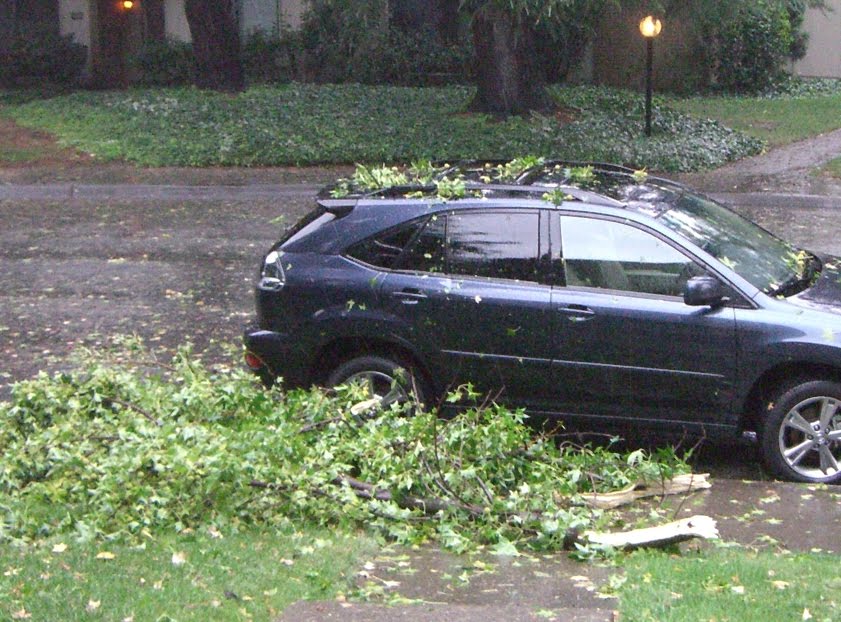 [sacramento+storm+1.jpg]