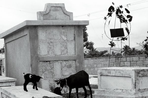 [magic+lantern+Haiti+Graveyard+Goats+1997.JPG]