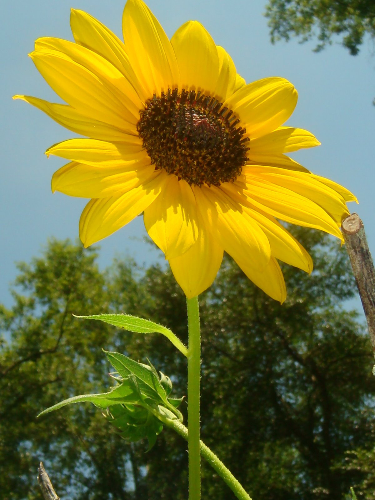 [DSC03331.JPG]
