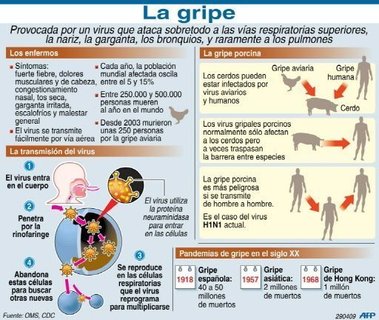 LA GRIPE PORCINA ¿QUE ES?