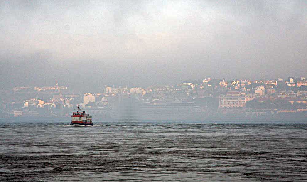 [IMG_5095.jpg]