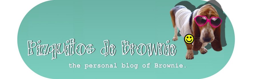 Pizquitos de Brownie
