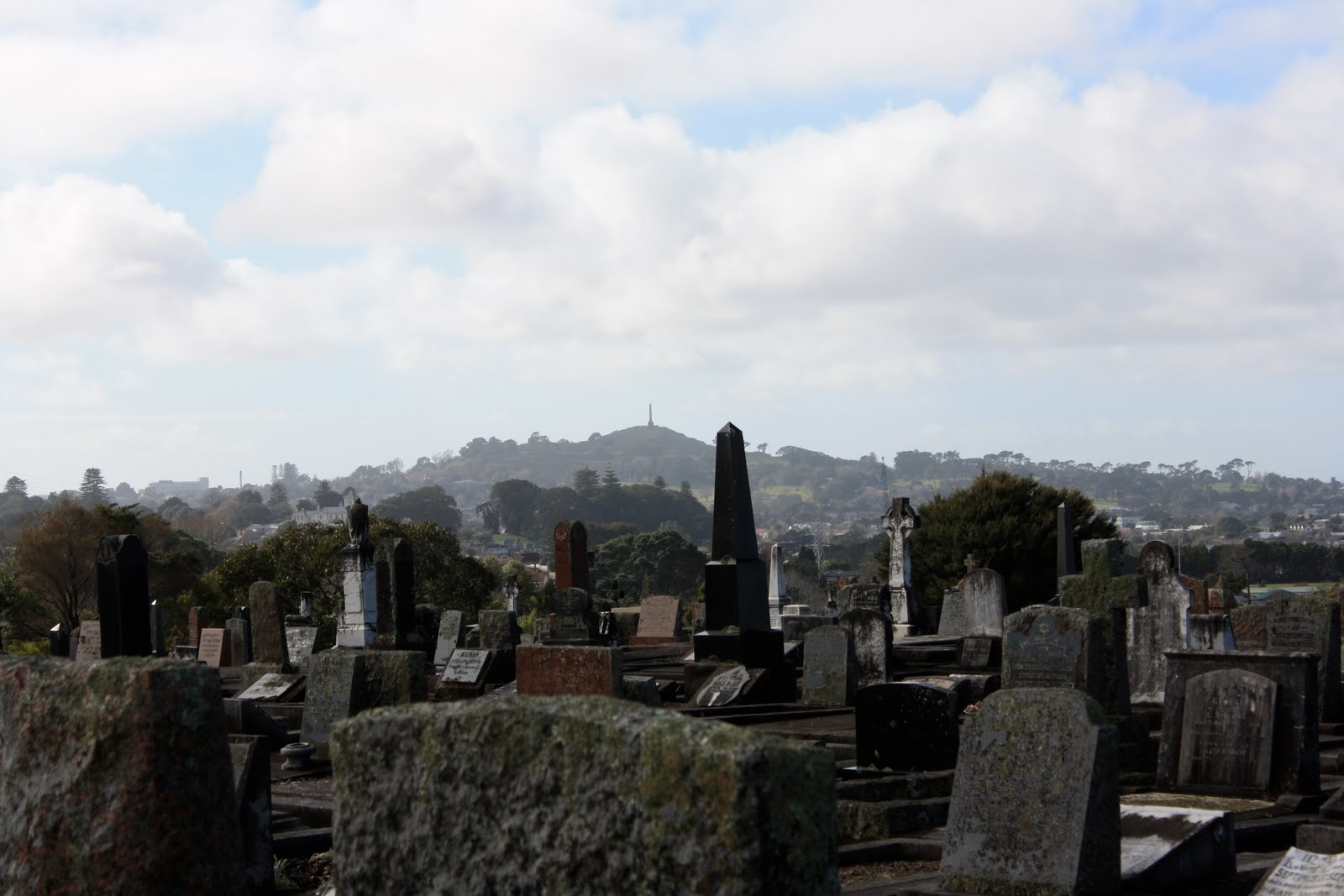 Little Field Trips Auckland Cemeteries Part One Hillsborough