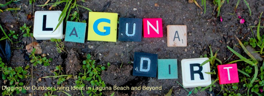 Laguna Dirt