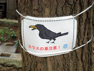 Crows In Japan