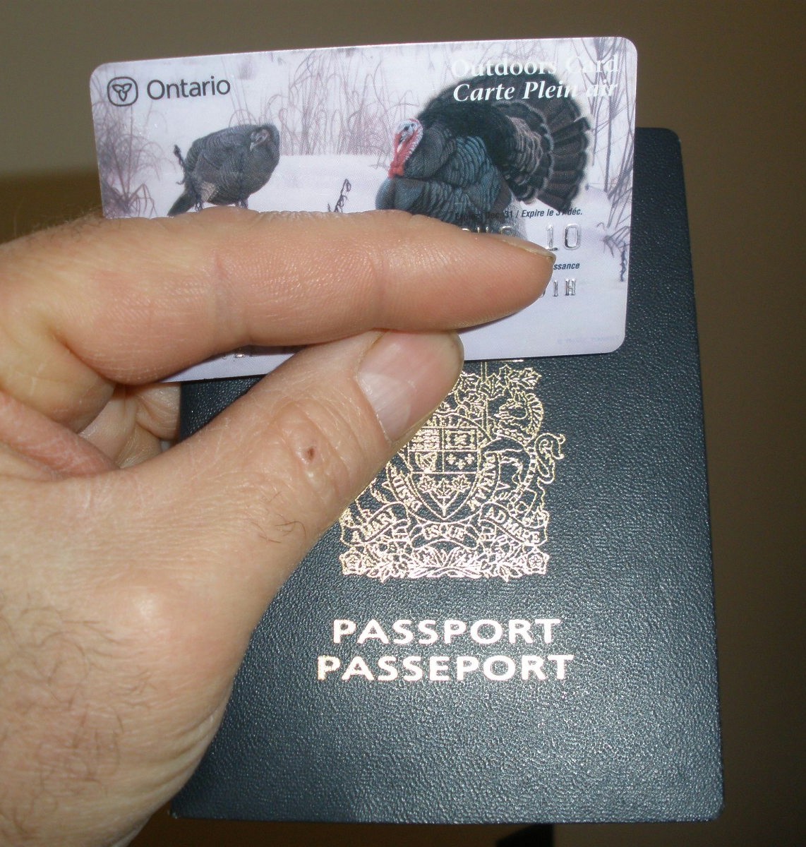 How To Get An Outdoors Card Ontario at Regina Voss blog