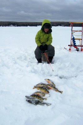 Quillan with perch and kick-sled