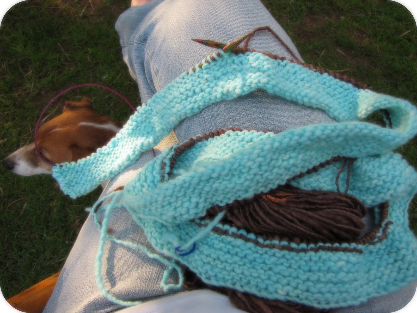 [IMG_4312_picnik.jpg]