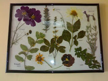 How to Make a Botanical Picture