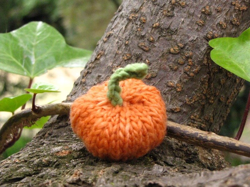 Knitting Machine Pumpkin Kitty Pattern, Knit Pumpkin Pattern, Knit