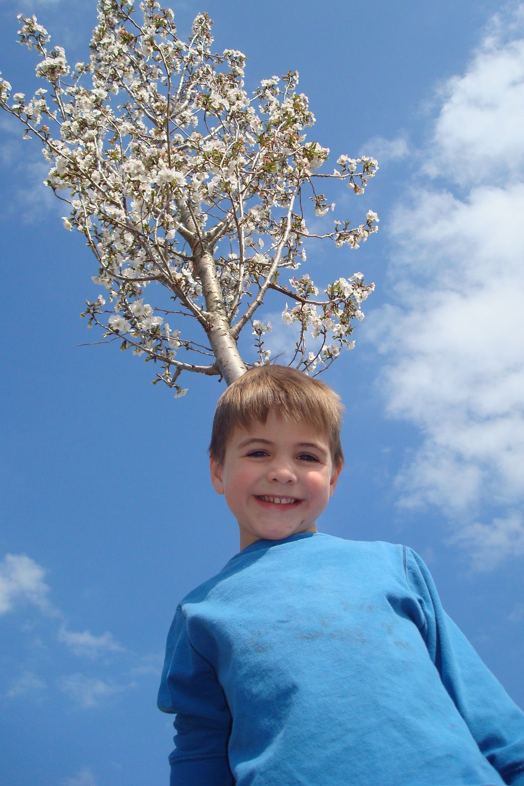[Ts+Tree+head.JPG]