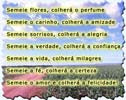 Ampliar