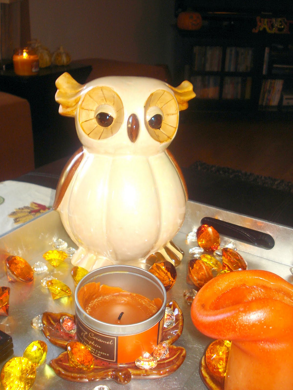 chapters of our life a hoarder does NOT live here...