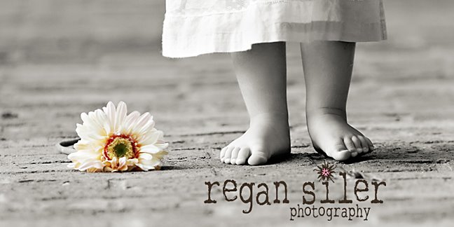 Regan Siler Photography | My blog