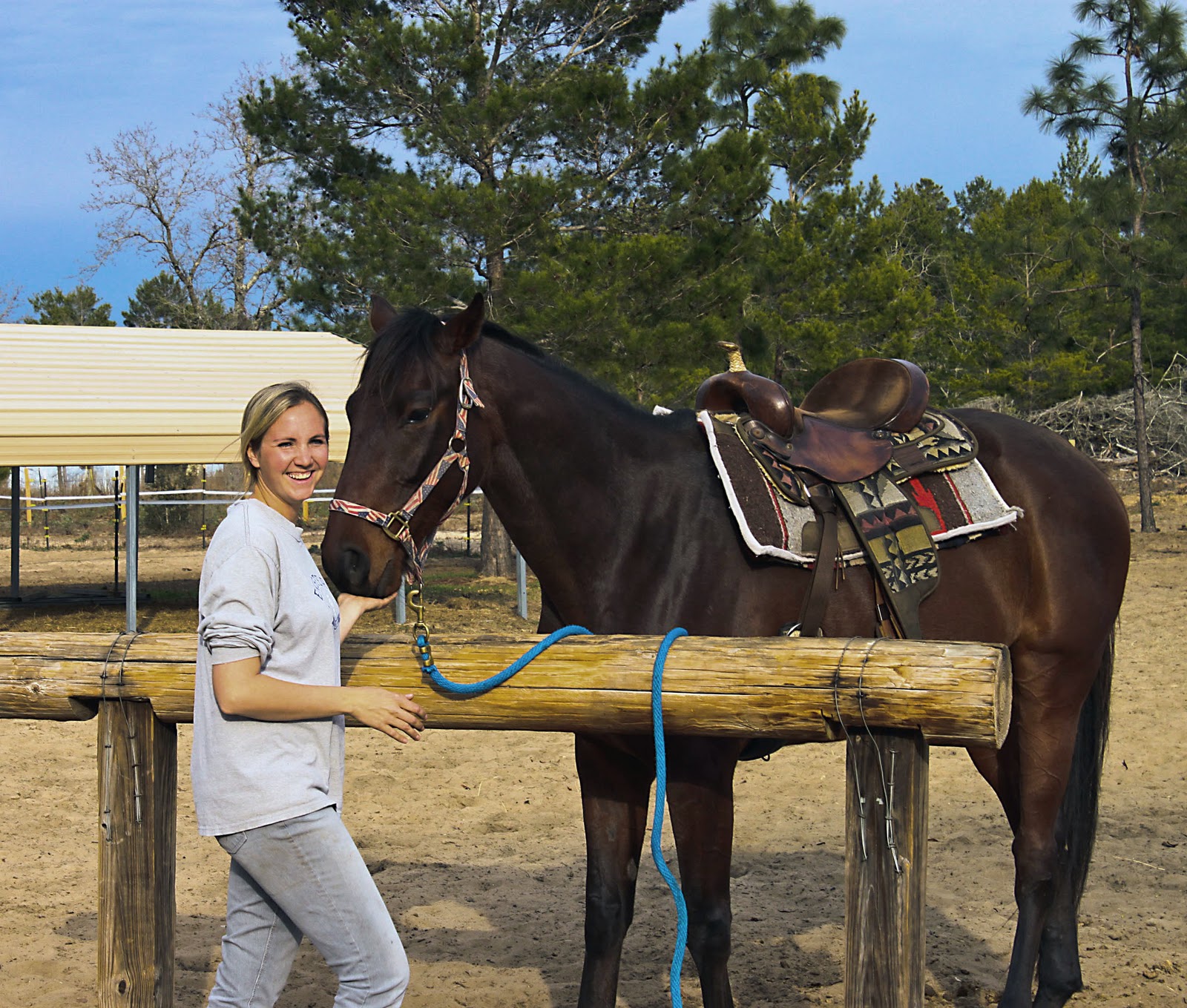 freedom hill horse rescue freedom hill horse rescue