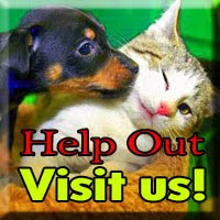 Superforce Fundraiser