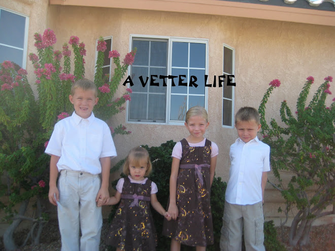 A Vetter Life