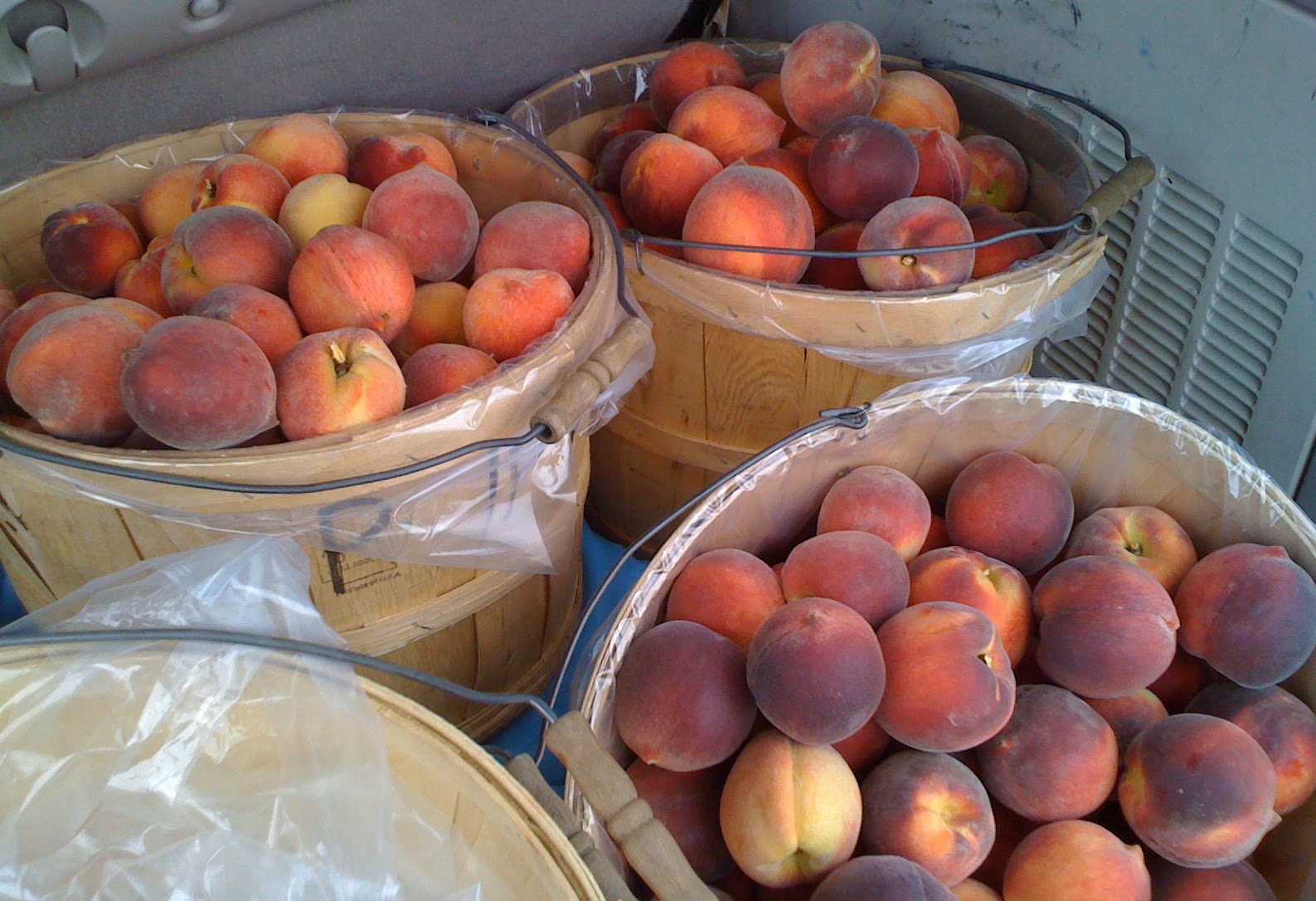 The Panamámama Cooks! Millions of Peaches (Peaches for me)