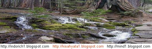 kisahyata54