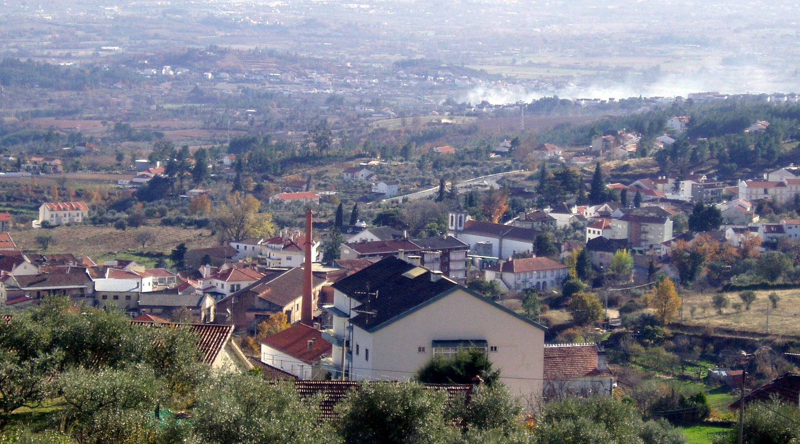 [PB260001.JPG]