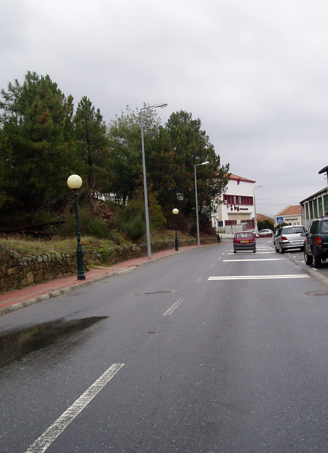 [PC300005.JPG]