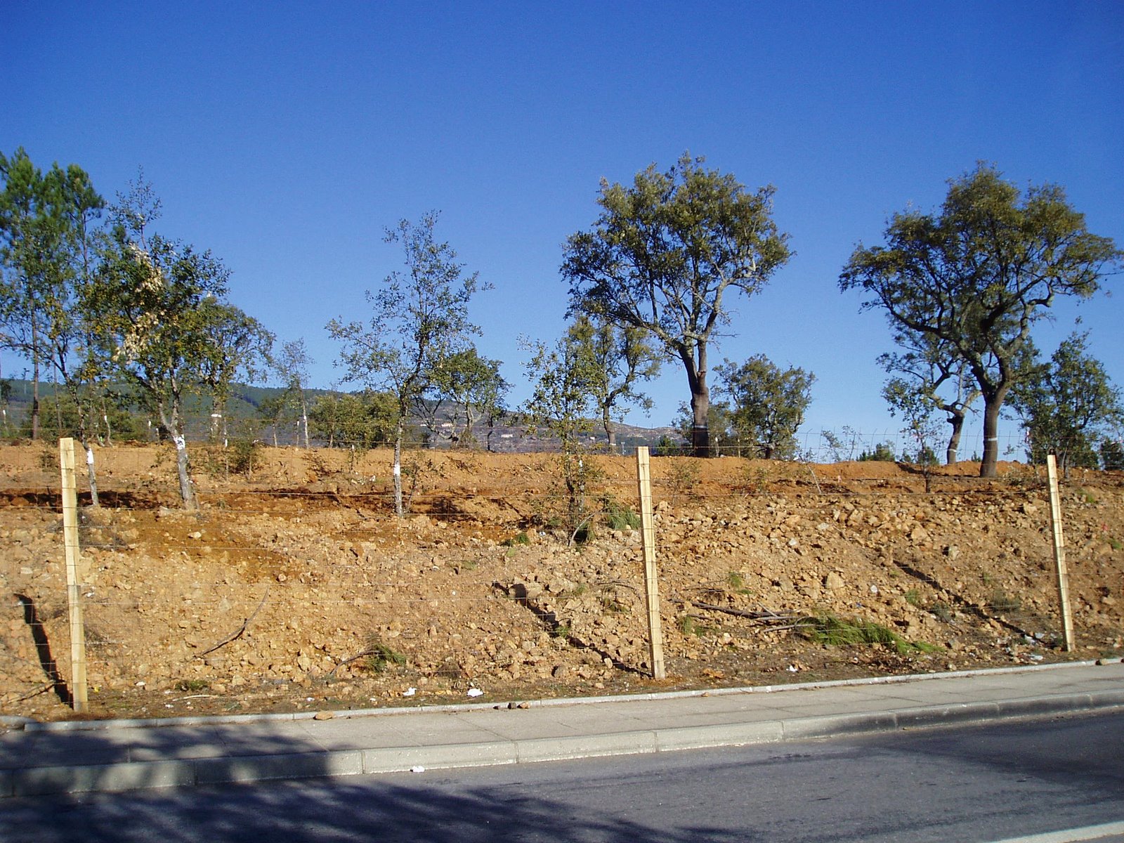 [P1120004.JPG]