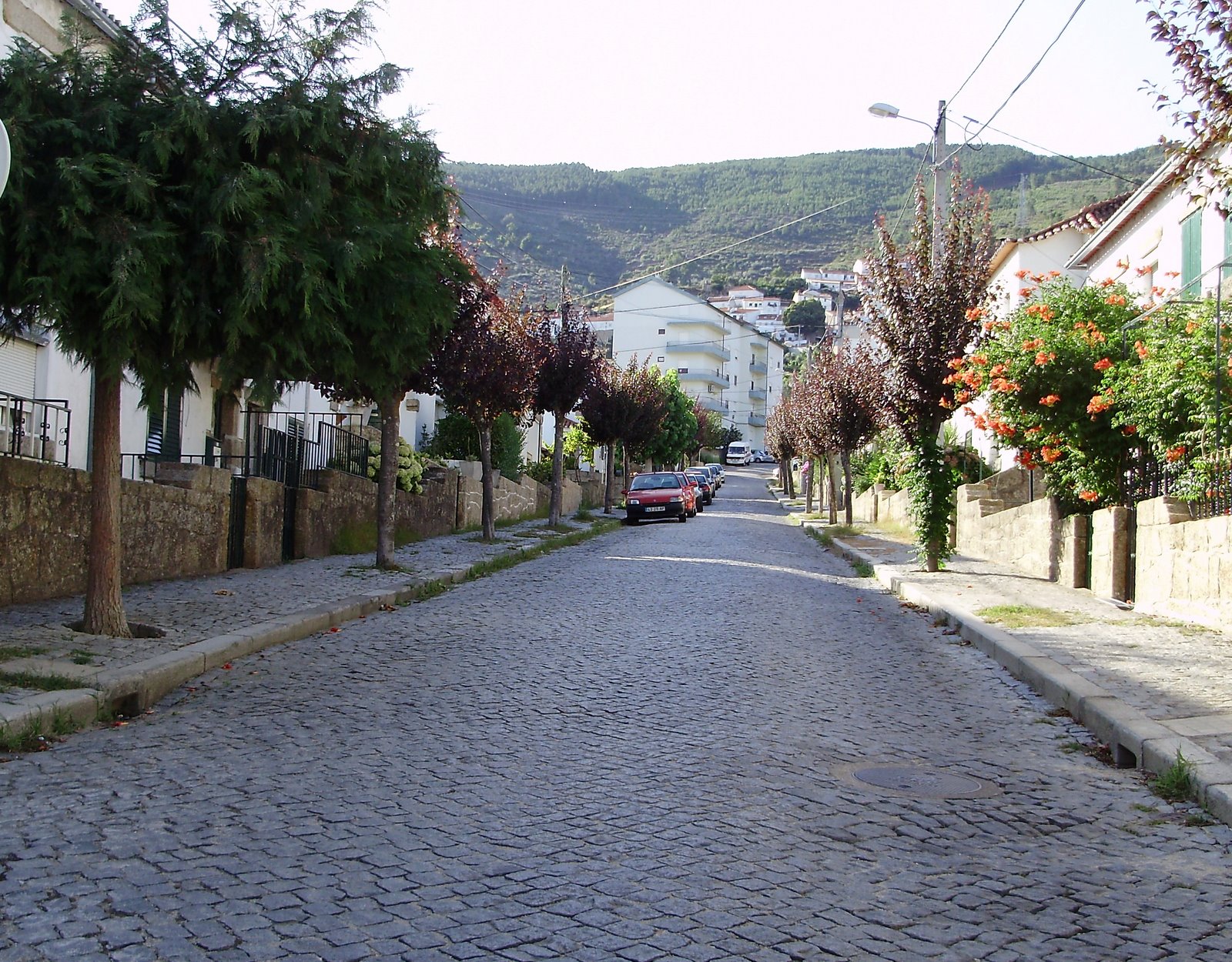 [P8010001.JPG]