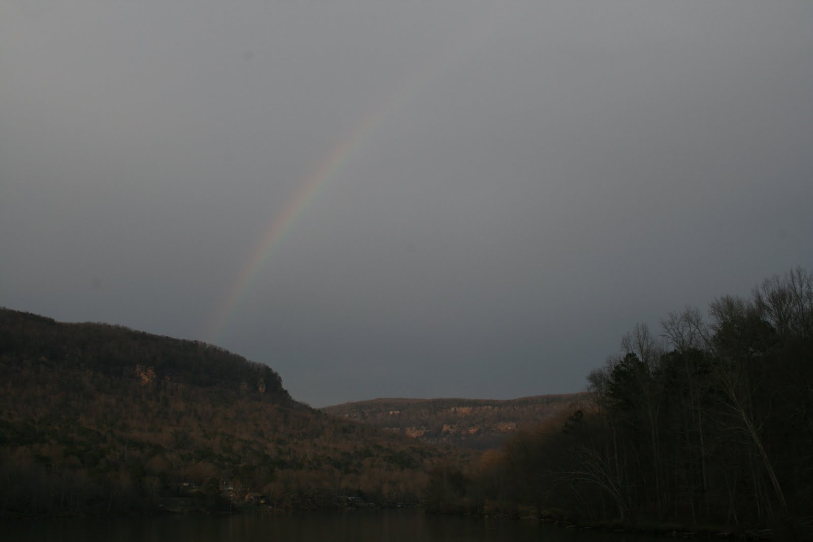 [IMG_7946.JPG]