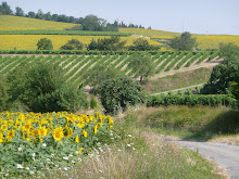 COUNTRY LANES.