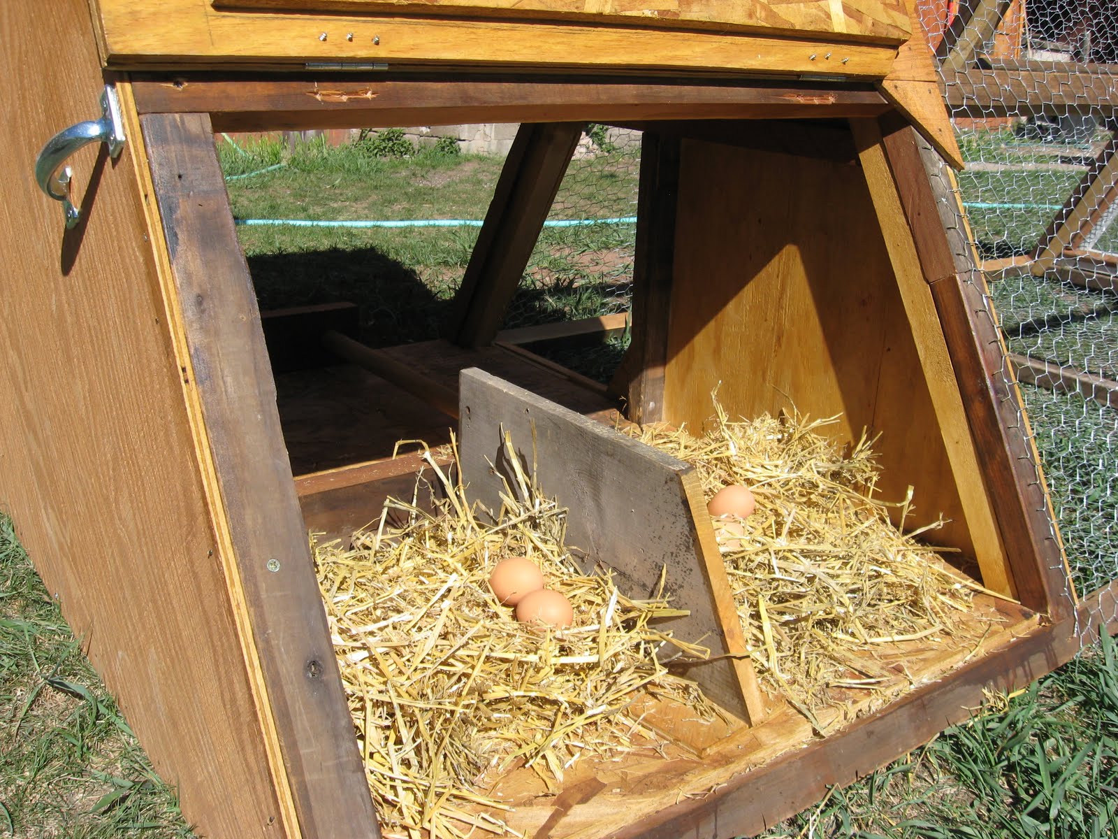 4 a Green World in Durango CO Chicken Tractor for Sale, Only 300!
