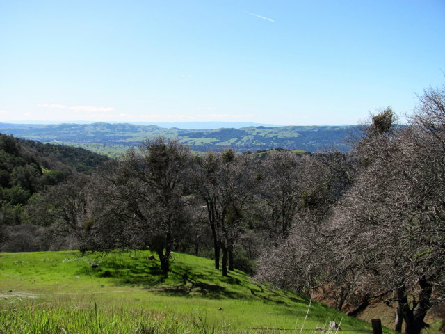 [4+Mt.+Diablo+View+(4)-757559.jpg]