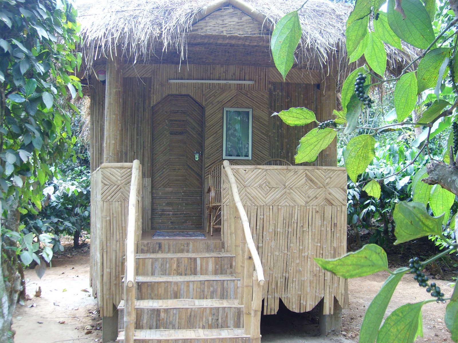 bamboo hut