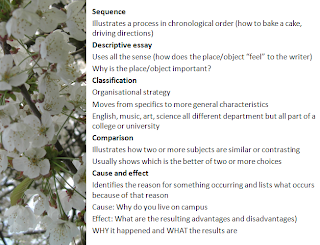 simple definition of expository essay simple definition of expository essay