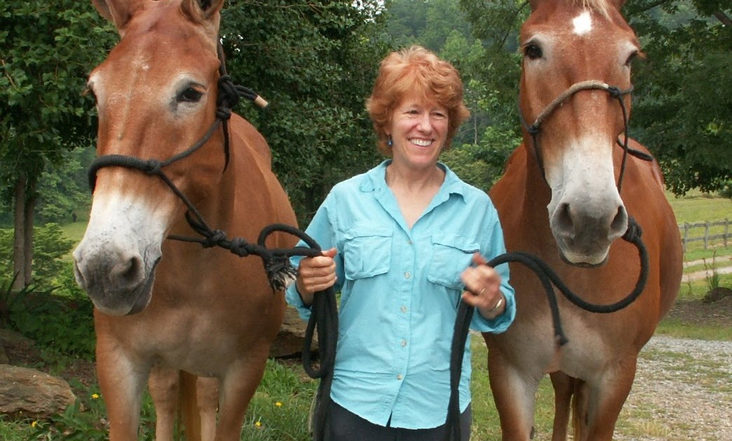 St.Clair Red Mule Farm Mule & Donkey Adventures My Magical Southern