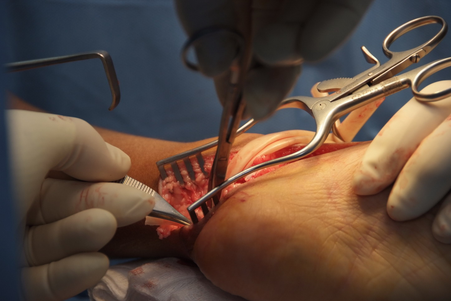 [2-13-2008+4-02-45+PM_0059_resize.jpg]