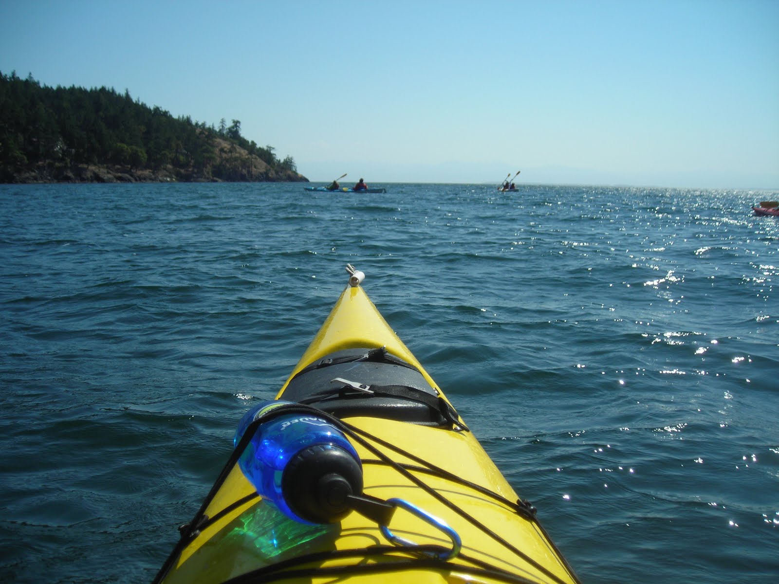 Dorothy Wears Hiking Boots Our Day Kayaking with Killer Whales