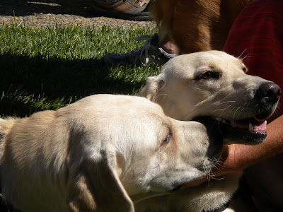 Duvall on the left kissing Dehli on the right