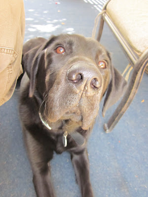 Dagan's face close up from above. Dag looking up into the camera, a small piece of weed stuck to his nose