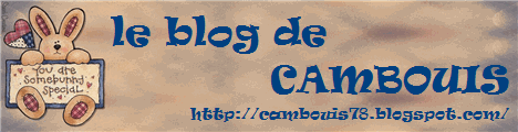 Le blog de Cambouis