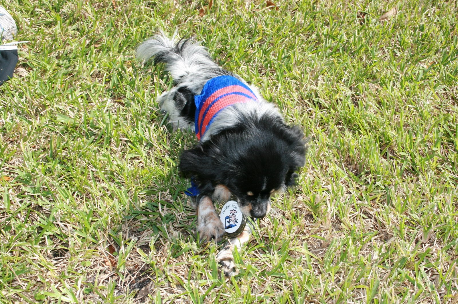 [IMG_2907.JPG]