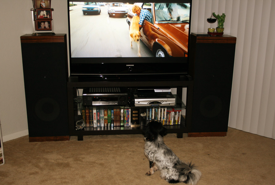 [MarleyRunningsfw.jpg]