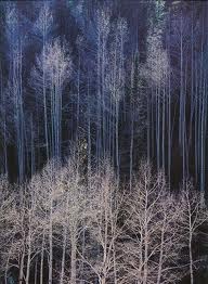 Photography Blog Philip Hyde