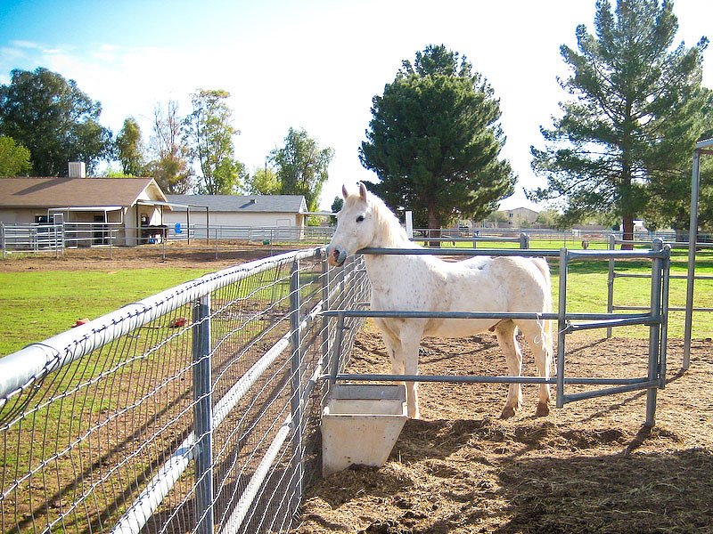 [2008-02-29+kids+6574.jpg]